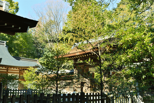 武田神社