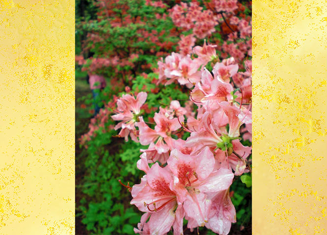 真田氏歴史館 御屋敷公園