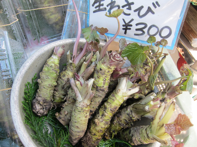 わさび園・かどや