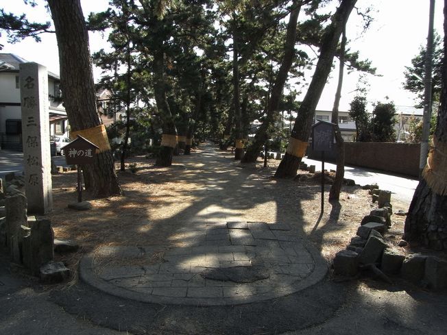 神の道(三保の松原)