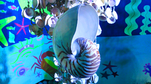 貝の国 竹島ファンタジー館