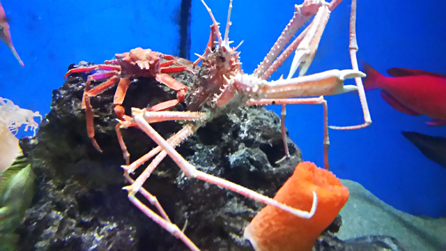 海辺の文学記念館