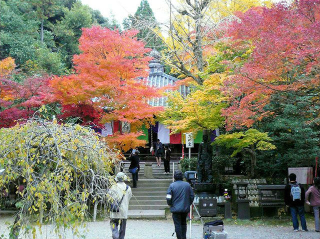 今熊野観音寺(今熊野)