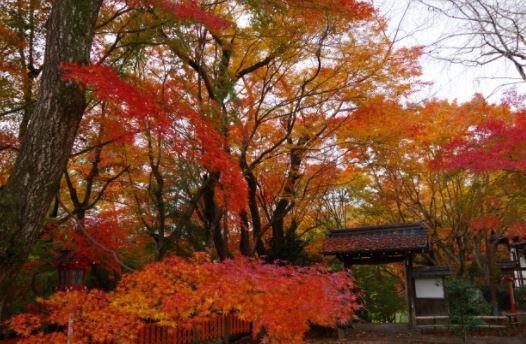 松ヶ崎大黒天・妙円寺