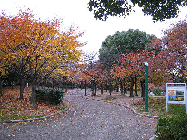 八幡屋公園