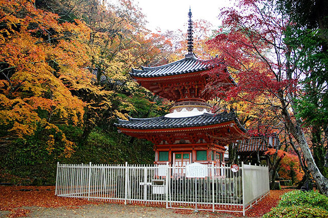 牛滝山大威徳寺