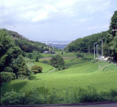 傍示の里とくろんど園地を訪れるハイキングコース 中級編 ウォーキング お散歩コース検索 Navitime 傍示の里とくろんど園地を訪れるハイキングコース 中級編 ウォーキング お散歩コース検索 Navitime
