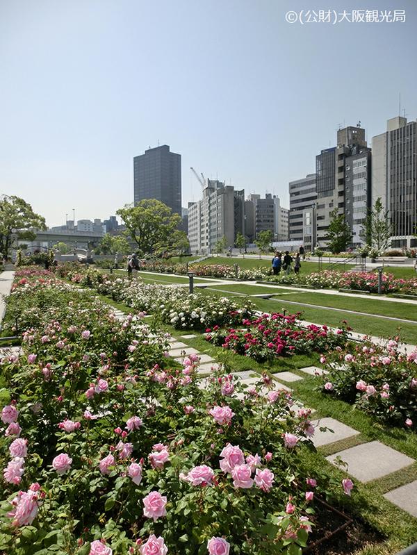 中之島公園