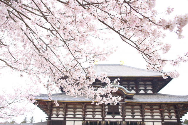 東大寺大仏殿