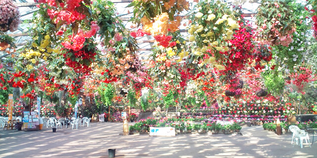 松江フォーゲルパーク