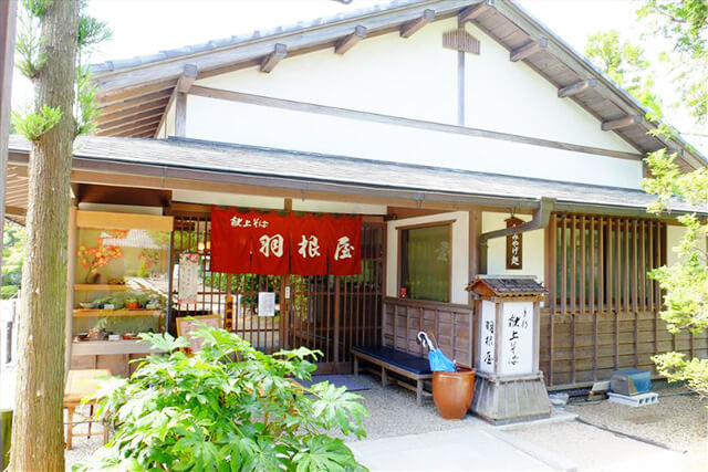 羽根屋 伝承館店