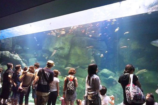 宮島水族館