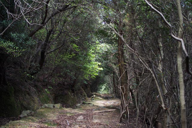 山の精気をもらえる場所
