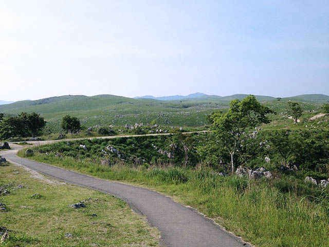 国定公園秋吉台
