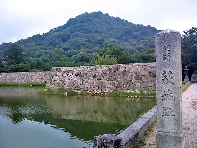 【桜の名所】萩城跡指月公園