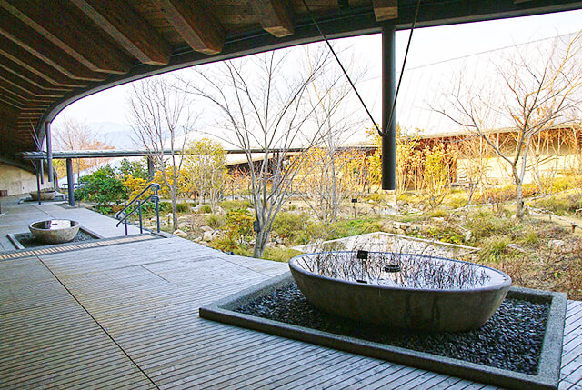 高知県立牧野植物園