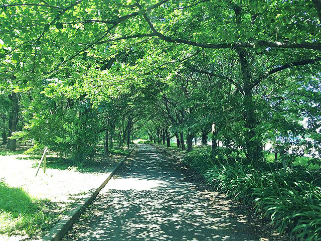 箱崎ふ頭記念公園