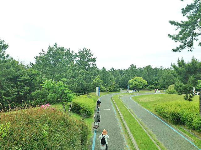 海の中道海浜公園サイクリング