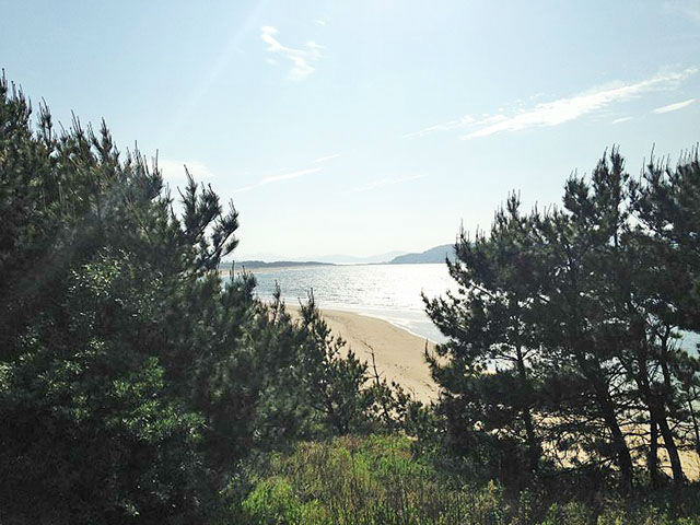 志賀島海水浴場