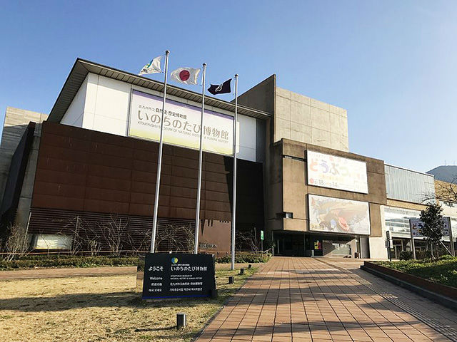 いのちのたび博物館