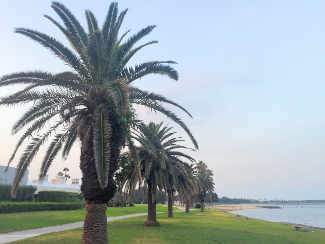 海の中道海浜公園