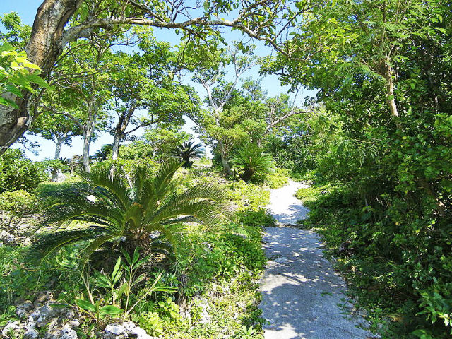 【宮城島】シヌグ堂バンタの自然