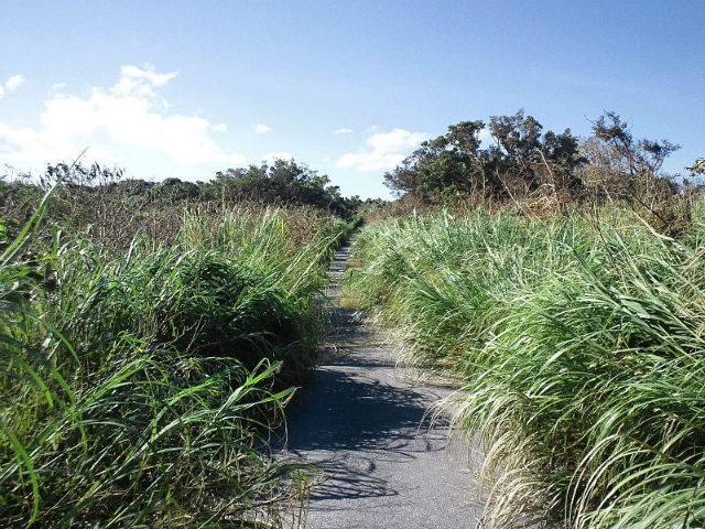 ジャネー洞 周辺